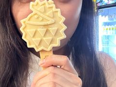 -榴莲BB 四季果园