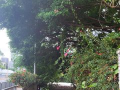 -人民公园(罗湖区)