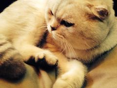 -MIKAKU(万达广场上海宝山店)