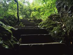 -青城山