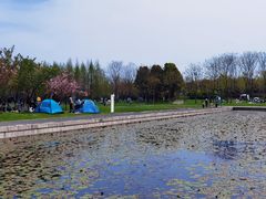 -尚贤河湿地