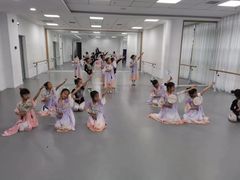 -西安小天鹅艺术团(金花路校区)