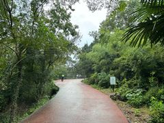 -敬亭山风景名胜区