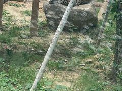 -苏州上方山国家森林公园