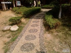 -雨湖公园