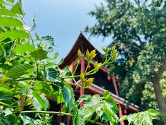 -南京市江宁方山