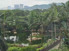 -童趣廊·儿童波波池·海洋球(长隆横琴湾酒店)