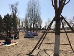 -东郊湿地公园