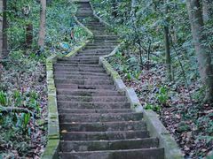 -都江堰普照寺