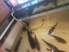 -咱屯子铁锅炖直营店(保利店)