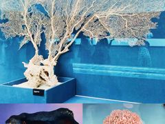 -中国湿地博物馆