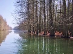 -上海海湾国家森林公园