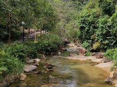 -广州白江湖森林公园