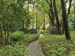 -徐家汇源景区-衡山公园