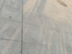 -马鹦路(地铁站)