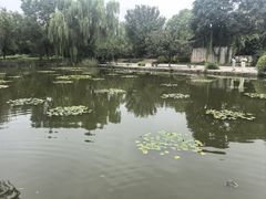 -河北省园博园