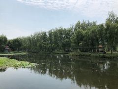 -微山湖红荷湿地景区
