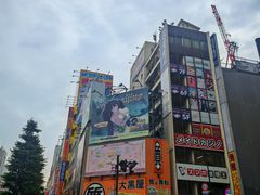 -秋叶原电器街
