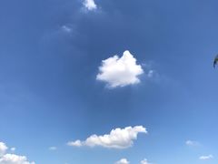 -荷塘月色湿地公园·向阳花洲