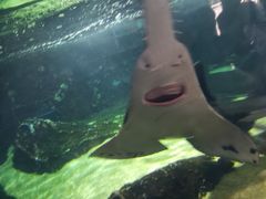 -厦门海底世界