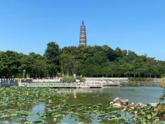 -顺峰山公园