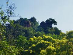 -爱情山风景区