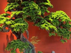 -阿伟海鲜楼·福建菜(延寿店)