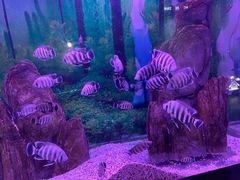-常州海昌海洋探索馆
