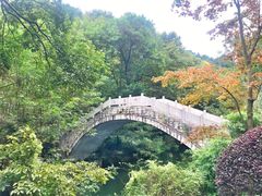 -阿哈湖国家湿地公园