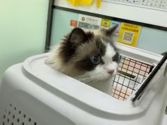 -嘉馨宠物医院·CT影像转诊·心脏科·犬猫全科诊疗中心(下沙大学城院区)