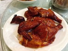-张记旺角食街(动物园店)