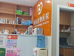 -创凡宠物医院·骨专科  猫科中心(西乡分院)