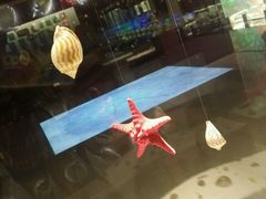 -青岛贝壳博物馆