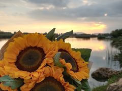 -呈贡滇池生态湿地公园