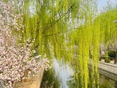 -元大都城垣遗址公园