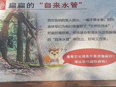 -南宁良凤江国家森林公园