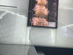 -BLACKSWAN黑天鹅(环球店)