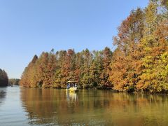 -上海海湾国家森林公园