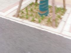 -豫缘王婆大虾(祭城总店)