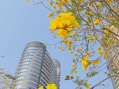 -洲头咀公园