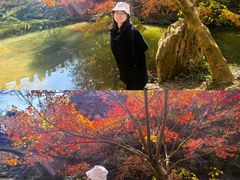 -田野绿世界