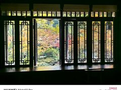 -中国茶叶博物馆(双峰馆区)