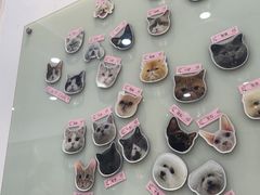 -四月宠物医院·猫专科·心脏专科·内科(转塘店)