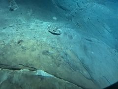 -白鹤梁水下博物馆