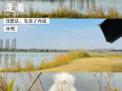 -海宁鹃湖公园