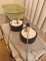 -慈蕊美容养生·专业经络调理