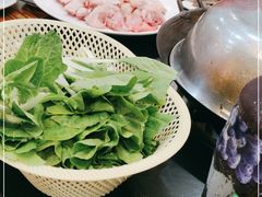 -信天游餐馆(万江店)