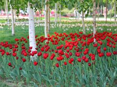 -长春公园(普阳街道)