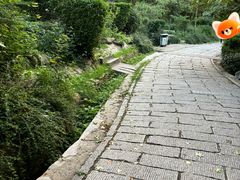 -贮水山儿童公园