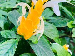 -北京植物园-展览温室